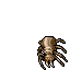 Bitsy Spider