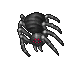 Black Spider